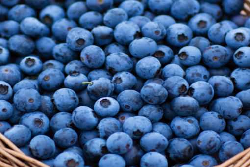 “五大健康水果之一”蓝莓怎么洗才干净？怎么吃比较好？