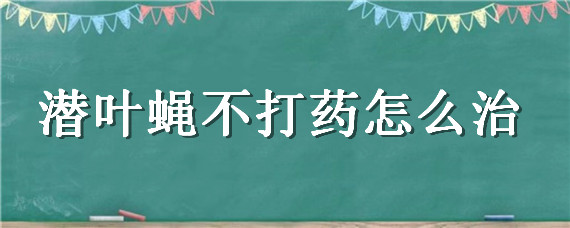 潜叶蝇不打药怎么治