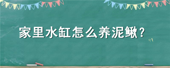 家里水缸怎么养泥鳅