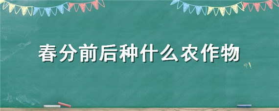 春分前后种什么农作物