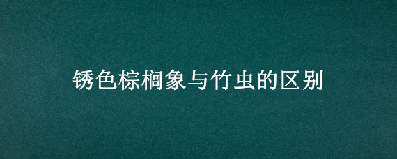 锈色棕榈象与竹虫的区别