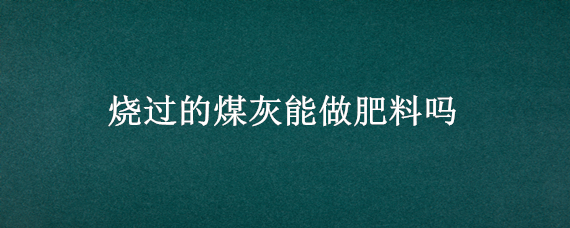 烧过的煤灰能做肥料吗