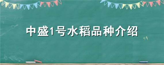 中盛1号水稻品种介绍