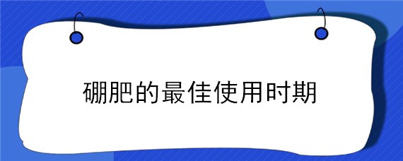 硼肥的最佳使用时期