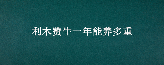 利木赞牛一年能养多重