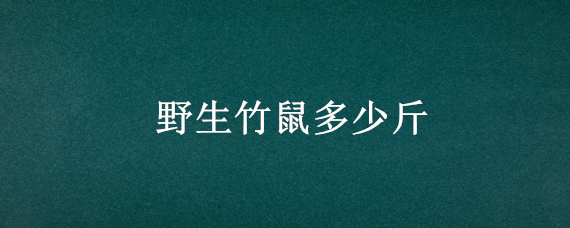 野生竹鼠多少斤