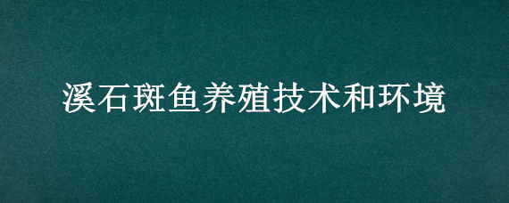 溪石斑鱼养殖技术和环境