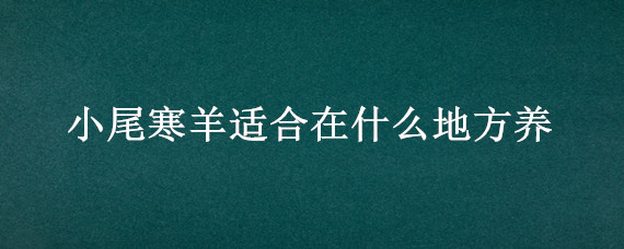 小尾寒羊适合在什么地方养