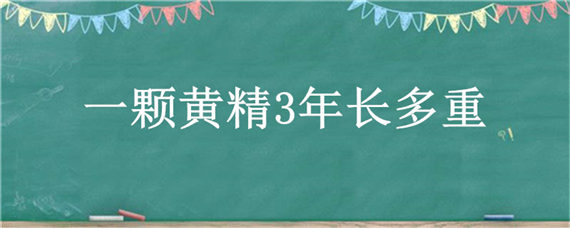 一颗黄精3年长多重