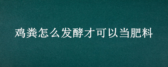 鸡粪怎么发酵才可以当肥料