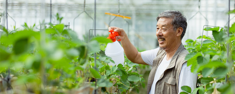 6种浇花小方法