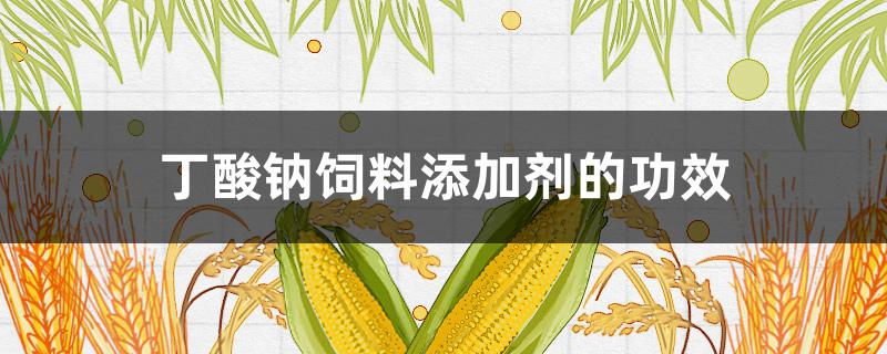 丁酸钠饲料添加剂的功效