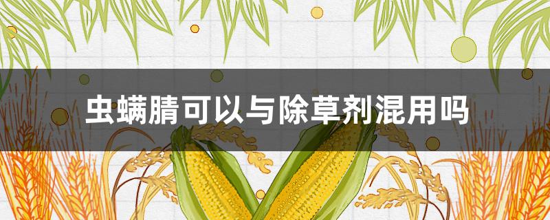 虫螨腈可以与除草剂混用吗