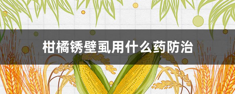 柑橘锈壁虱用什么药防治