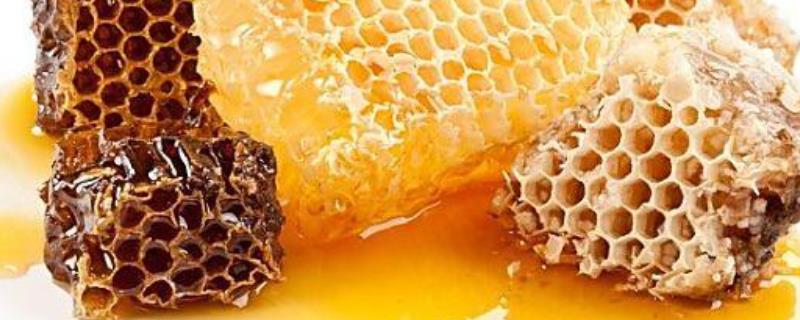 蜂胶在蜂巢的什么地方，附来源及用途