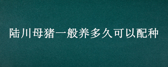 陆川母猪一般养多久可以配种