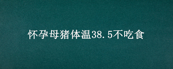 怀孕母猪体温38.5不吃食