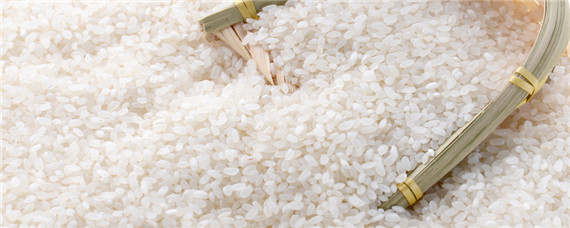 国标一级米有哪些稻种