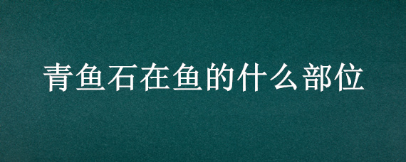 青鱼石在鱼的什么部位