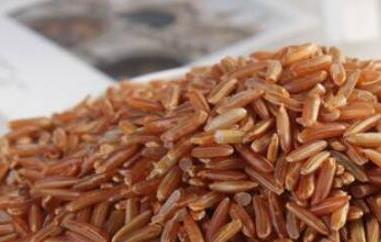 红糙米的功效与作用 吃红糙米的好处