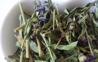 黄芩叶茶的制作方法 黄芩叶茶的功效