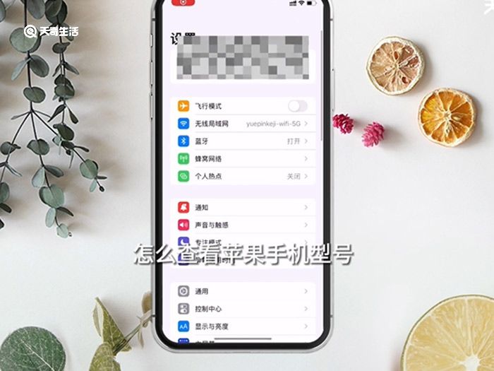 如何看手机型号 在哪里看手机型号