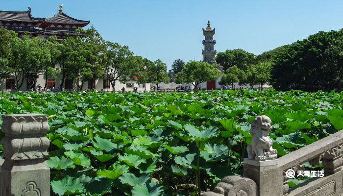 华东五市旅游攻略 华东五市自由行攻略