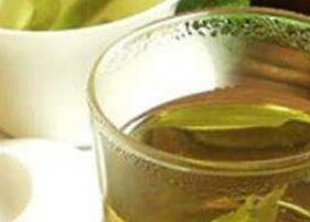 苦丁茶的功效与作用 苦丁茶的正确泡法