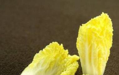 黄心菜怎么种植 黄心菜的种植时间和方法