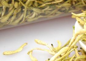 金银花的功效与副作用 金银花的食用方法