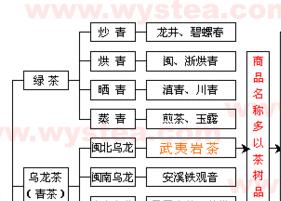 茶叶分类图 茶叶有哪些分类