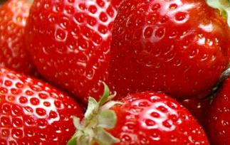 孕妇能吃草莓吗 孕妇吃草莓的好处