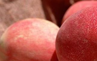 桃子的食疗功效与用法