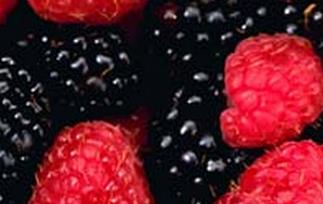哪些水果能补肾 常见的补肾水果有哪些