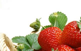 吃草莓的好处 草莓的常见吃法