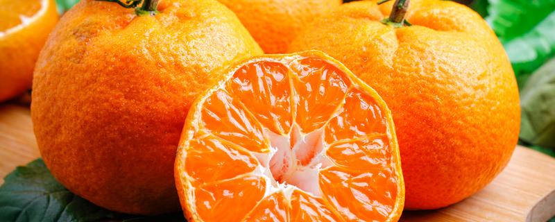 柑橘果实的生长发育适宜温度是多少 柑橘果实的生长发育适宜温度是多少度