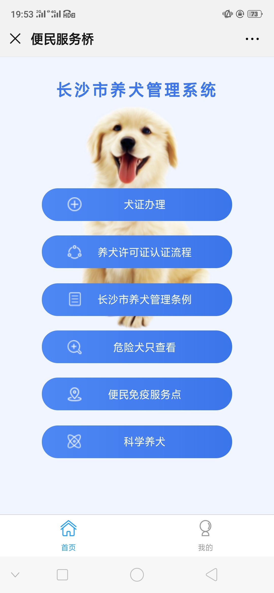 长沙市狗证可以网上办理吗？在哪办理？