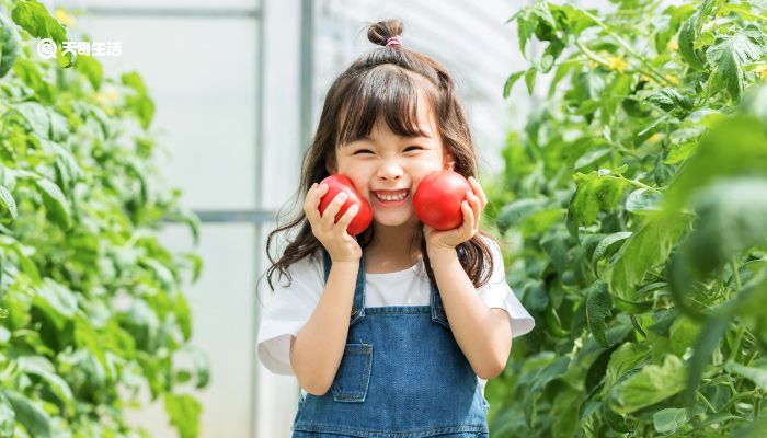 小女孩子的发型扎法