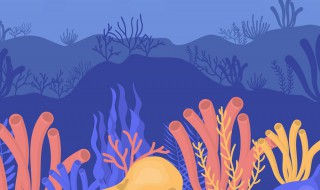 珊瑚是保护动物吗（硬骨珊瑚是保护动物吗）