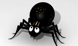 如何养好一只黑色蜘蛛有毒吗（很小的黑蜘蛛有毒吗）