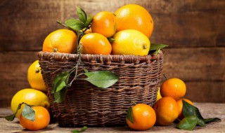 如何养好一棵橘子树 怎样养橘子树