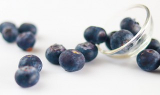 蓝莓树盆栽苗买回来怎么种（买的蓝莓树苗怎么种植）
