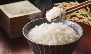 剩的米饭怎么保存（剩余的米饭怎么保存）