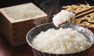 微波炉可以煮米饭吗 微波炉可以煮米饭的方式