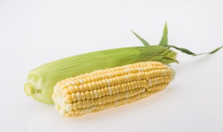 煮粘玉米多长时间能熟 煮粘玉米多长时间能熟玉米需要多长时间
