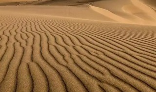 中国的沙漠有哪些分别在哪里，中国的沙漠主要在哪里