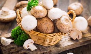 蘑菇煮多长时间能熟 蘑菇煮多长时间才熟