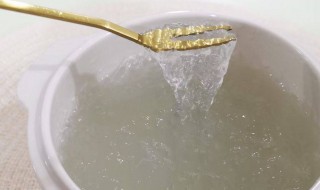 燕窝与雪燕的区别 燕窝和雪燕窝的区别