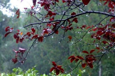 和秋雨有关的唯美句子，秋雨的唯美句子短句子