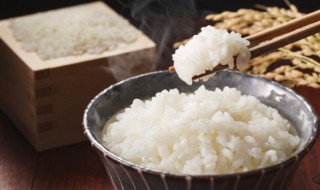 蒸大米多久能熟 蒸大米多久能熟老